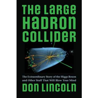 The Large Hadron Collider