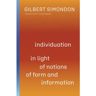 Individuation in Light of Notions of Form and Information