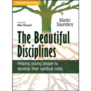 The Beautiful Disciplines