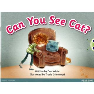 Bug Club Pink B Can You See Cat? 6-pack