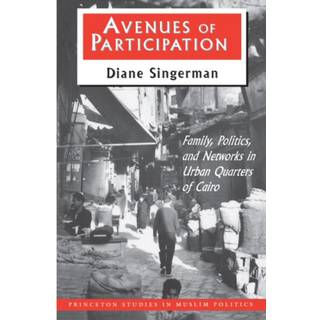 Avenues of Participation