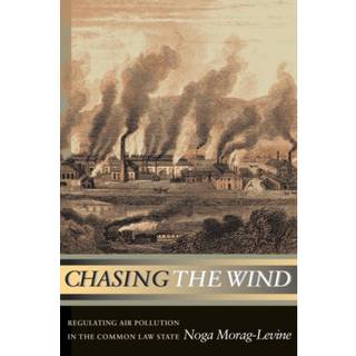 Chasing the Wind (4, 2005) | Noga Morag-Levine
