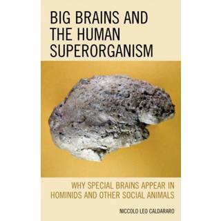 Big Brains and the Human Superorganism