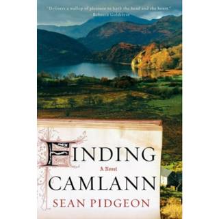 Finding Camlann