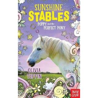 Sunshine Stables: Poppy and the Perfect Pony