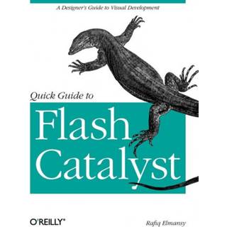 Quick Guide to Flash Catalyst