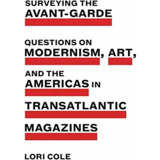 Surveying the Avant-Garde