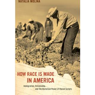How Race Is Made in America