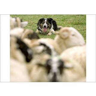 The Domestic Revolution - How the Introduction of Coal into Victorian Homes Changed Everything