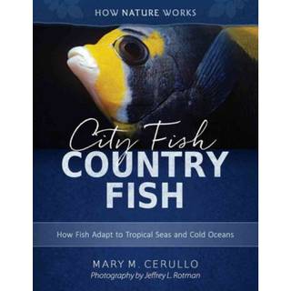 City Fish Country Fish