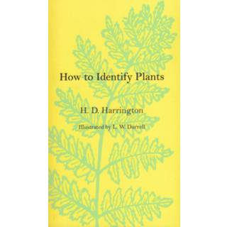 How to Identify Plants