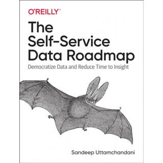 The Self-Service Data Roadmap