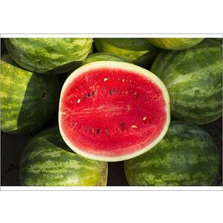 Oxford Reading Tree: Level 8: Workbooks: Workbook 3: A Day in London and Victorian Adventure (Pack of 6)