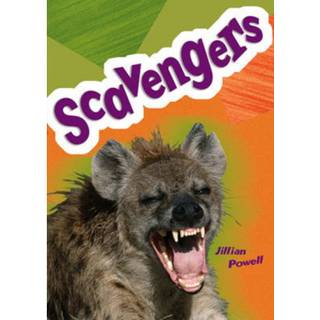 Pocket Facts Year 5: Scavengers