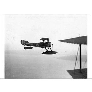 The Educational Philosophy of Elijah Muhammad