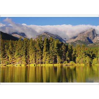 The Genesis of Living Forms