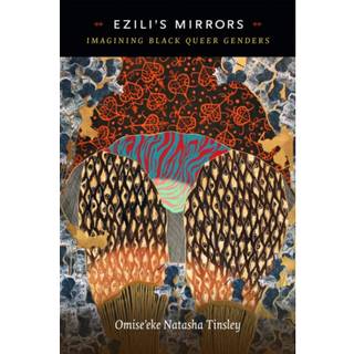 Ezili's Mirrors