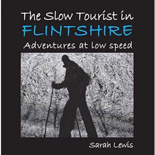 The Slow Tourist in Flintshir