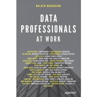 Data Professionals at Work