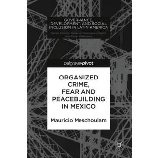 Organized Crime, Fear and Peacebuilding in Mexico