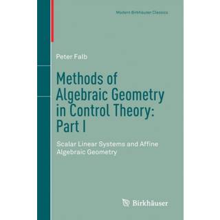 Methods of Algebraic Geometry in Control Theory: Part I