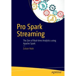 Pro Spark Streaming
