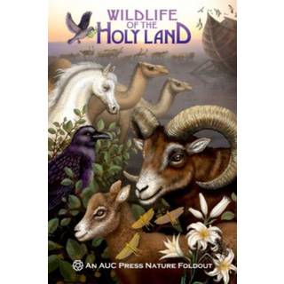 Wildlife of the Holy Land