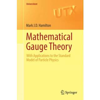 Mathematical Gauge Theory