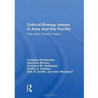 Critical Energy Issues In Asia And The Pacific