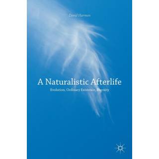 A Naturalistic Afterlife