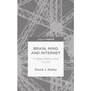 Brain, Mind and Internet