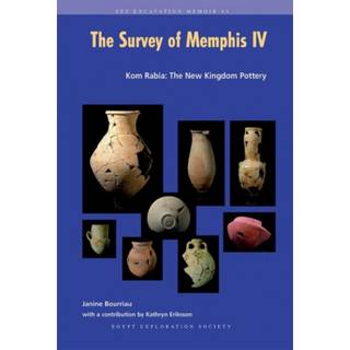 The Survey of Memphis IV