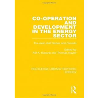 Co-operation and Development in the Energy Sector