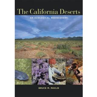 The California Deserts