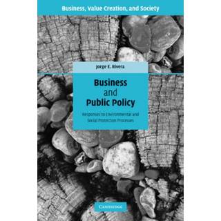Business and Public Policy