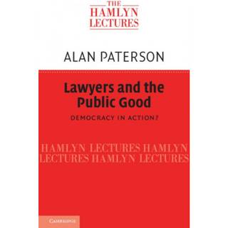 Lawyers and the Public Good