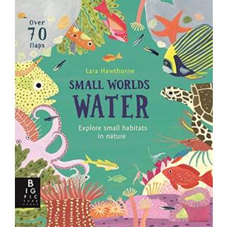 Small Worlds: Water