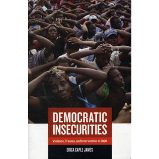 Democratic Insecurities (4, 2010) | Erica Caple James