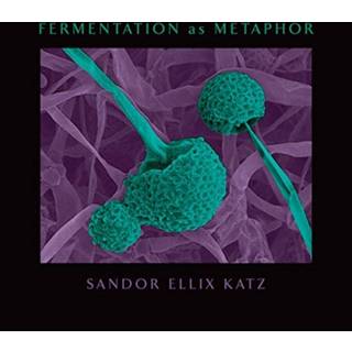 Fermentation as Metaphor