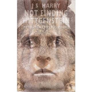 Not Finding Wittgenstein