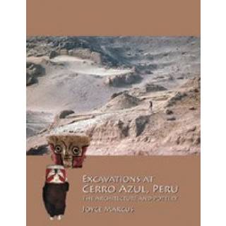 Excavations at Cerro Azul, Peru