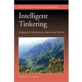 Intelligent Tinkering
