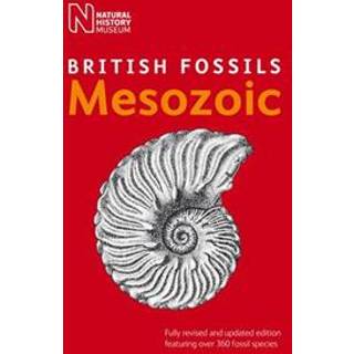 British Mesozoic Fossils