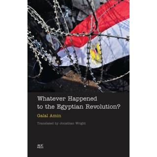 Whatever Happened to the Egyptian Revolution?