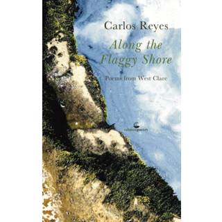 Along the Flaggy Shore