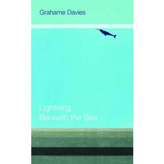 Lightning Beneath the Sea