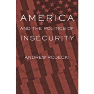 America and the Politics of Insecurity