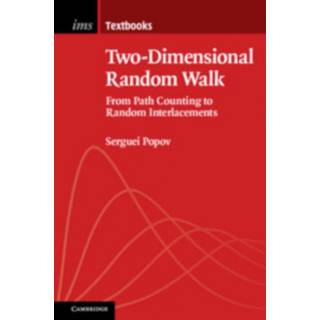 Two-Dimensional Random Walk (Physical)