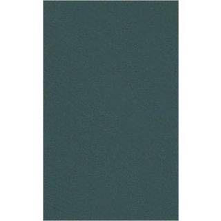 Linguistic Changes in Post–Communist Eastern Europe and Eurasia