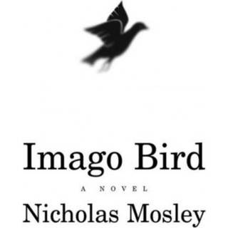 Imago Bird
